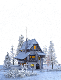 winter house